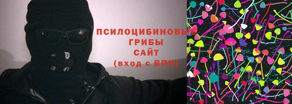 стафф Россошь