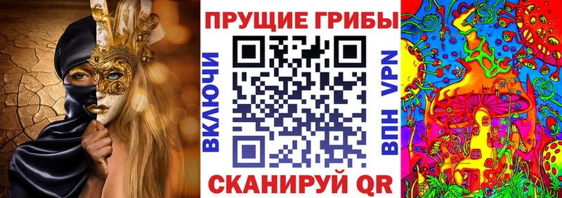 Псилоцибиновые грибы Cubensis  Кропоткин 