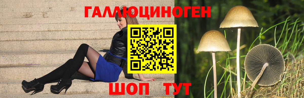 Кропоткин  Галлюциногенные грибы ЛСД  Вход с VPN 